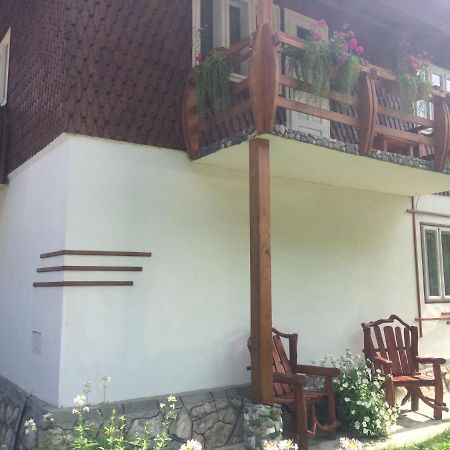 Casa De Vacanta Joldes Hotel Felsőgirda Kültér fotó
