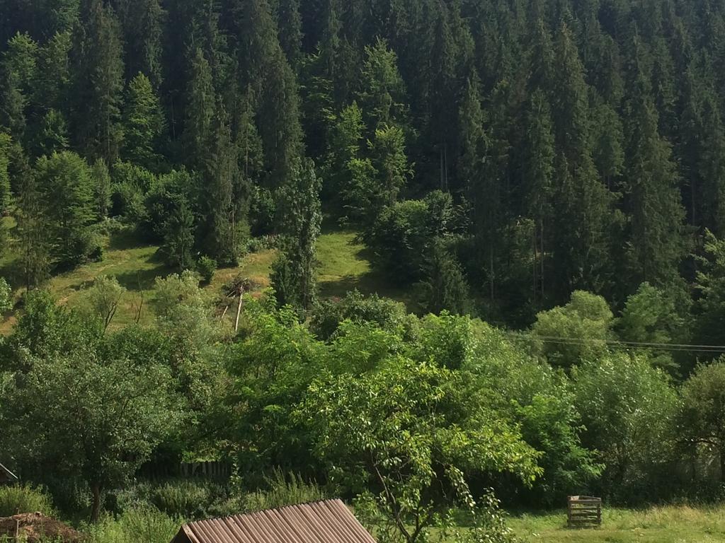 Casa De Vacanta Joldes Hotel Felsőgirda Szoba fotó