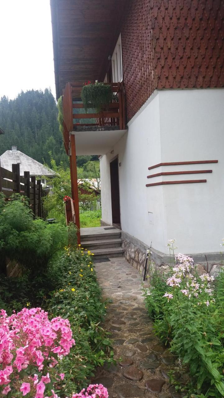 Casa De Vacanta Joldes Hotel Felsőgirda Kültér fotó
