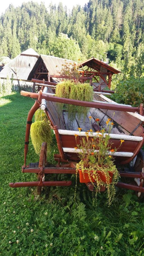 Casa De Vacanta Joldes Hotel Felsőgirda Kültér fotó